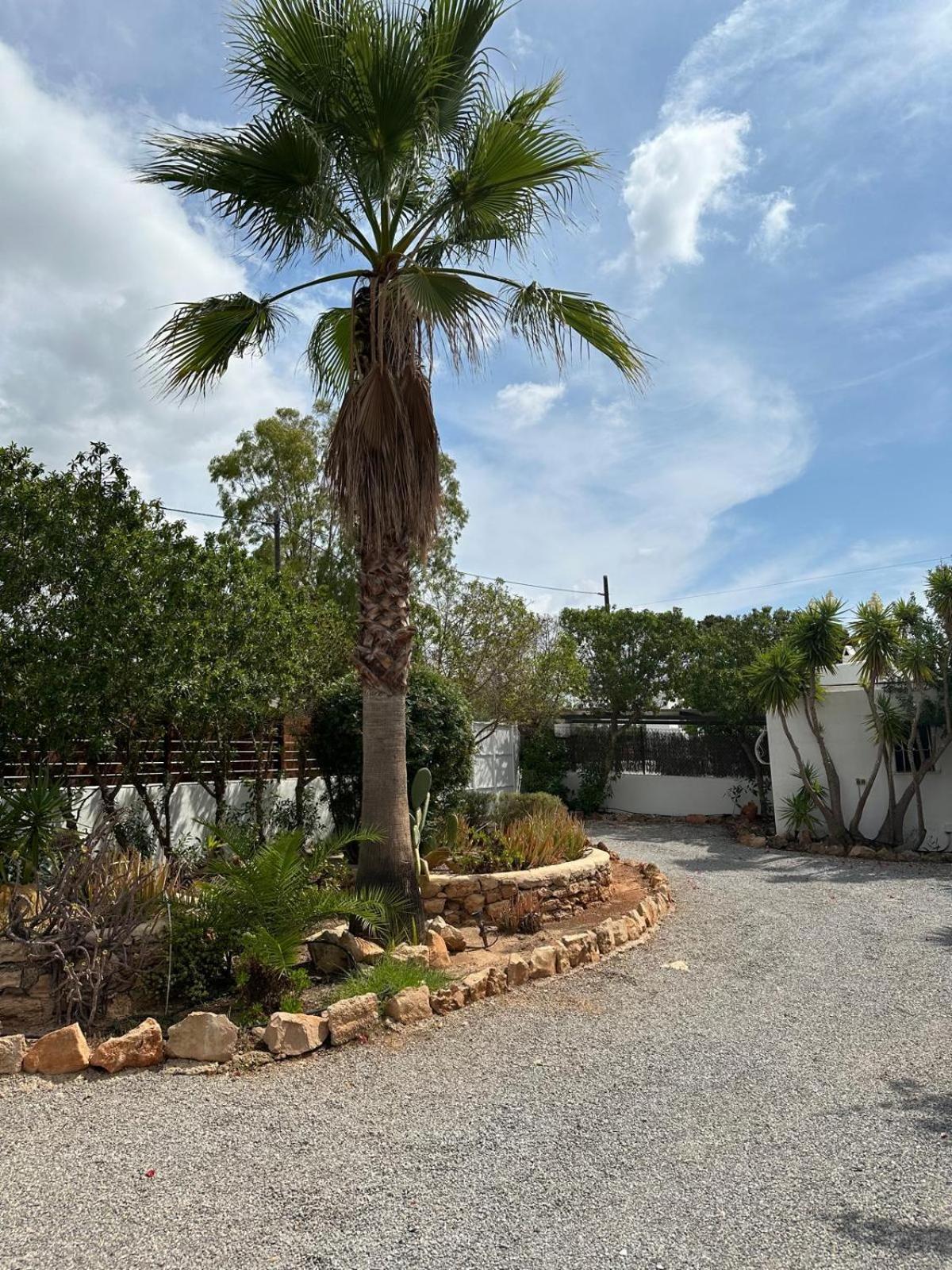 Micasa Ibiza Villa San Antonio  Bagian luar foto