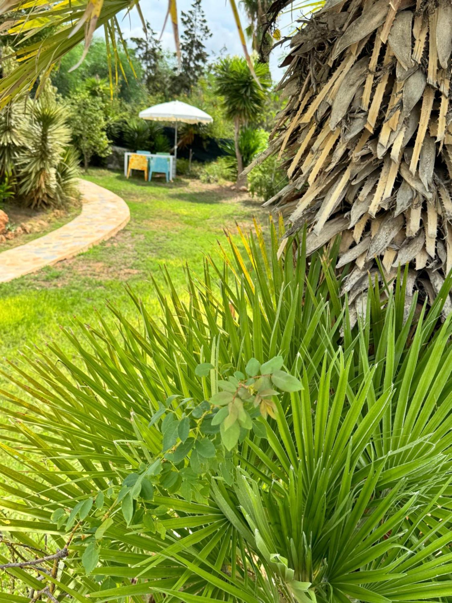 Micasa Ibiza Villa San Antonio  Bagian luar foto