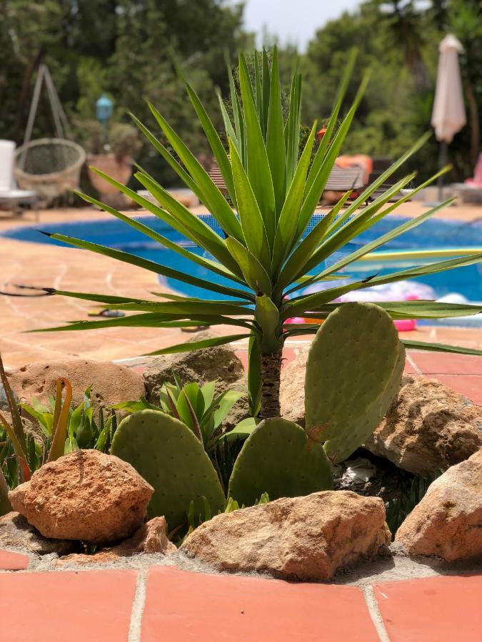 Micasa Ibiza Villa San Antonio  Bagian luar foto